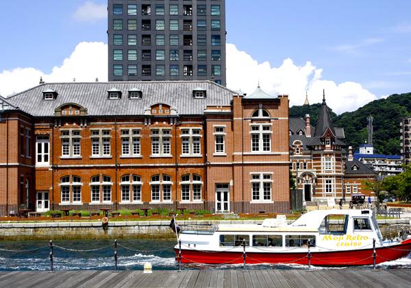 河内藤園の藤棚トンネルと季節の花咲く白野江植物公園2